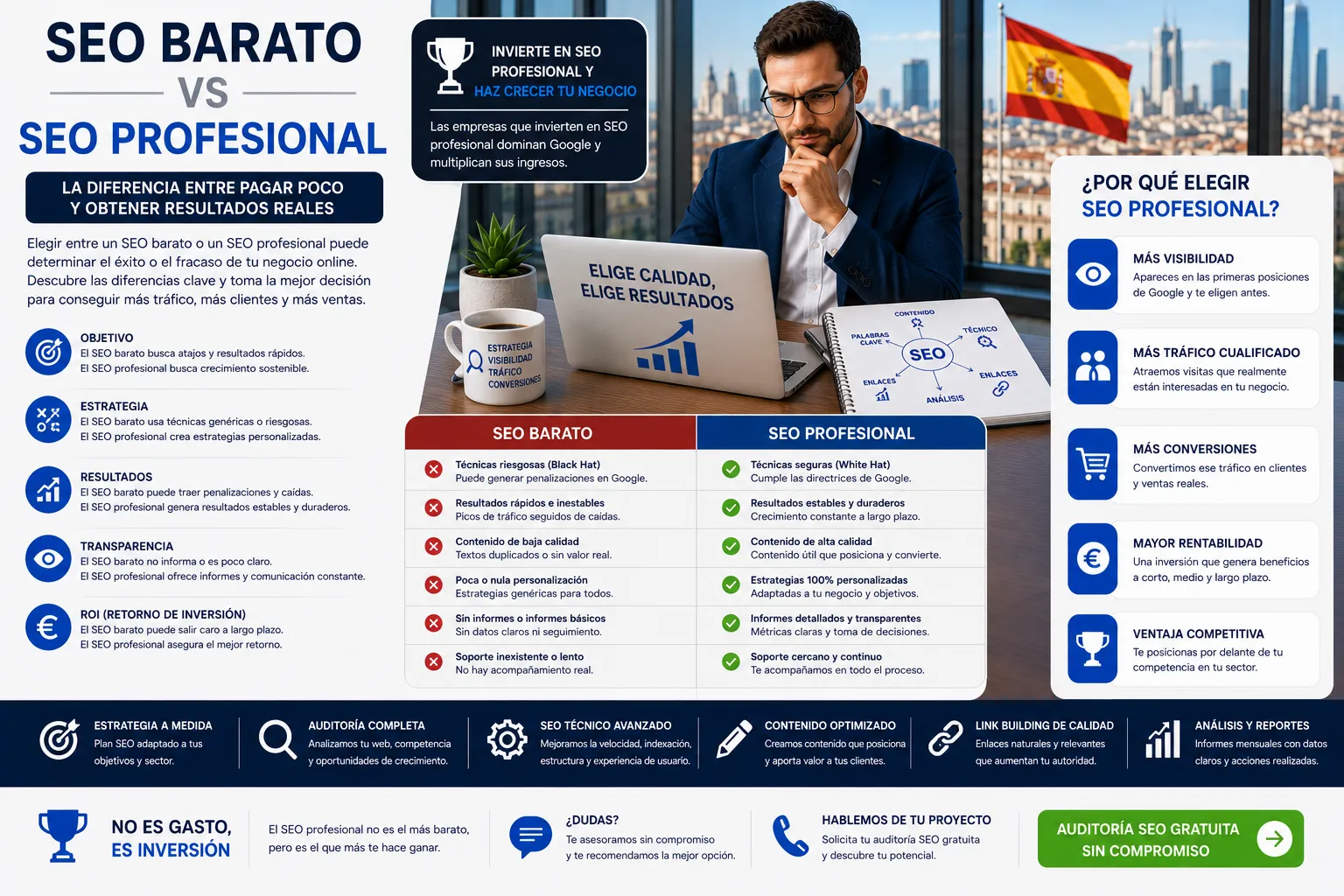 SEO Barato vs SEO Profesional infografia